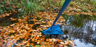 Zentralverband Zoologischer Fachbetriebe Deutschlands e.V. (ZZF): Gartenteiche für Fische winterfest machen