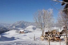 LID Pressecorner: Erleben Sie die Winterzeit auf dem Bauernhof