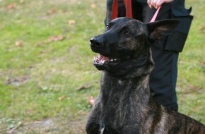 Polizeidirektion Hannover: POL-H: im Nachgang - ein Foto des Polizeihundes "Rommel"! zur Meldung Polizeihund stellt Einbrecher in Müllcontainer