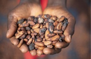 Mars Wrigley: Ab 2023: 100 Prozent verantwortungsvoller Kakao für die Schokoladenprodukte von Mars Wrigley in Europa