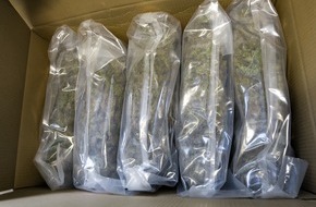 Polizeipräsidium Mittelhessen - Pressestelle Gießen: POL-GI: Mutmaßlicher Drogendeal vereitelt - 80 kg Marihuana landen in der Asservatenkammer