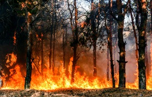 Albert-Ludwigs-Universität Freiburg: Soziale und wirtschaftliche Ungleichheiten beeinflussen Waldbrandvorsorge