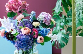 Blumenbüro: Kugelrundes Blühwunder / Spektakuläre Kombinationsmöglichkeiten mit der Hortensie