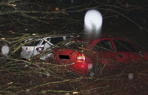 Polizei Minden-Lübbecke: POL-MI: Baum begräbt PKWs unter sich