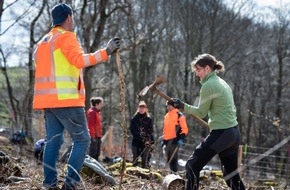 Bergwaldprojekt e.V.: Freiwillige mit dem Bergwaldprojekt am 15. November in Burbach im Einsatz für stabile Wälder – es gibt noch einige freie Plätze!