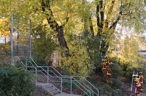 Feuerwehr Heiligenhaus: FW-Heiligenhaus: Kind aus Baum in 2 Meter Höhe befreit. (Meldung 28/2018)