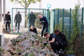 Letzter Aufruf 📣: Bundesweit naturnah gestaltete Balkons, Gärten und Firmengelände gesucht 🌸 🐝 🏆