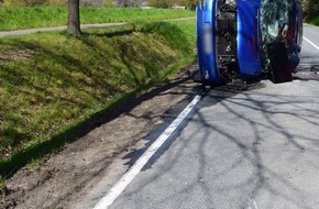 Kreispolizeibehörde Herford: POL-HF: Katze läuft auf Fahrbahn - Auto prallt bei Ausweichmanöver gegen Baum