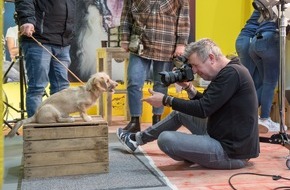 DOGLIVE: Mehr als 14.000-Besucher feierten die erfolgreiche Rückkehr der DOGLIVE Messe & Gala in Münster