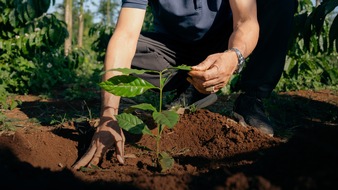 Nestl&eacute; Deutschland AG: NESCAF&Eacute; bezieht 2025 mehr als 50&acirc;&macr;% seines Kaffees aus regenerativer Landwirtschaft