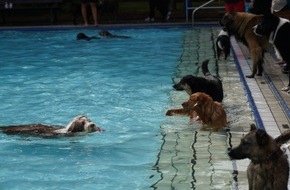 Nordseeheilbad Cuxhaven GmbH: 2. Hundebadetag im Waldfreibad Cuxhaven