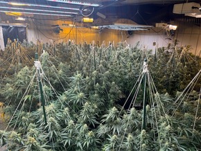 POL-GÖ: (135/2025) Zwei weitere Indoor-Plantagen im Altkreis Osterode entdeckt - Über 2.000 Pflanzen und umfangreiche Anbautechnik beschlagnahmt, 56-Jähriger festgenommen, Ermittlungskommission eingerichtet