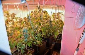 Kreispolizeibehörde Borken: POL-BOR: Gescher - Illegal Marihuana angebaut
