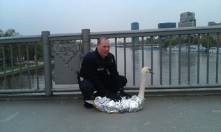 Polizeipräsidium Frankfurt am Main: POL-F: 130430 - 398 Frankfurt-Sachsenhausen: Schwanenrettung auf der Untermainbrücke