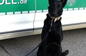 Hauptzollamt Schweinfurt: HZA-SW: Gutes Näschen/ Zollhund erschnüffelt Rauschgift bei Fahrzeugkontrolle