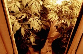 Polizei Düsseldorf: POL-D: Kleine, aber feine Cannabiszucht in Wersten entdeckt