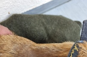 Autobahnpolizeiinspektion: API-TH: Tierlieber Urlauber rettet Hund auf der A9