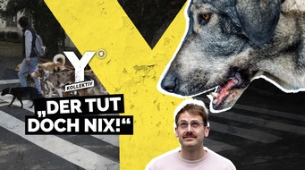 Radio Bremen: "Y-Kollektiv: "Der tut doch nix" - Kann ich meine Angst vor Hunden besiegen?" ab 14. Juli in der ARD Mediathek