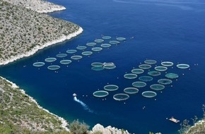 Europäischer Rechnungshof - European Court of Auditors: EU-Aquakultur stagniert trotz umfangreicher Förderung