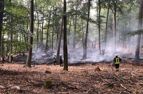 Polizeidirektion Pirmasens: POL-PDPS: Brand von Wald- und Wiesenfläche
