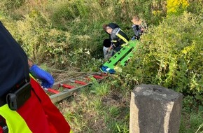 Feuerwehr Gelsenkirchen: FW-GE: Rettung eines Fußgängers auch Dornensträucher