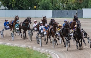 Deutscher Tierschutzbund e.V.: PM - Deutsches Traber Derby Berlin - Rennerfolge auf Kosten der Tiere