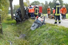 Polizeiinspektion Harburg: POL-WL: Winsen/L. - Tödlicher Verkehrsunfall
