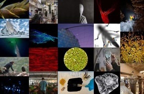 Schweizerischer Nationalfonds / Fonds national suisse: Dix ans d'images scientifiques spectaculaires