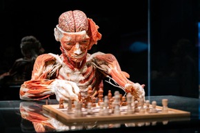 30 Years of BODY WORLDS / A Success Story That Has Changed the Way We See Ourselves