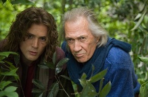 ProSieben: "Son of the Dragon" am Samstag auf ProSieben