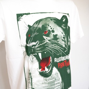 Nachhaltigkeit im Fanshop – Anspruch, Realität und Potenzial