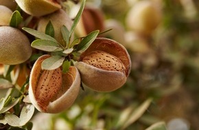 Almond Board of California: "Merry low-waste Christmas" mit einer Zutat, die Teil einer innovativen Zukunft ist