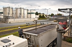 OVID Verband der ölsaatenverarbeitenden Industrie in Deutschland e. V.: Herstellung von Pflanzenöl und Proteinfutter in Deutschland sinkt