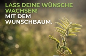 Green Forest Fund: Wisches Come Wild / Green Forest Fund l&auml;sst W&uuml;nsche Wurzeln schlagen