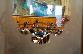 Pro Infirmis Schweiz: Un passo verso il diritto di voto per tutte le persone con disabilità