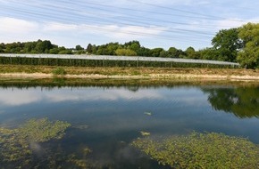 Netto Marken-Discount Stiftung & Co. KG: Internationaler Tag der biologischen Vielfalt: Partnerschaftlich f&uuml;r Natur und Landwirtschaft - Netto unterst&uuml;tzt den Erhalt heimischer Artenvielfalt