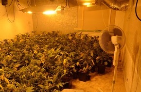 Polizeiinspektion Nienburg / Schaumburg: POL-NI: Professionelle Indoorplantage in Eystrup entdeckt