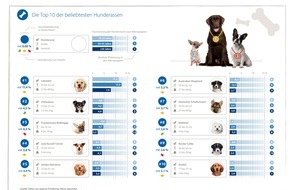 CHECK24 GmbH: Beliebteste Hunderassen: Labrador sichert sich erneut den ersten Platz