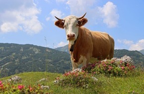 dlv Deutscher Landwirtschaftsverlag GmbH: „Was ist, wenn der Bauer geht?“ Alpen.Gipfel.Europa.2022 diskutiert am 23. Juni über Zukunft der Berglandwirtschaft