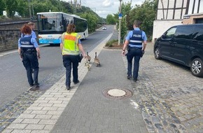 Polizeidirektion Mayen: POL-PDMY: Verkehrsbehinderung durch Gänsefamilie