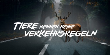 ACV Automobil-Club Verkehr: Wildunfälle: Neue Kampagne "Tiere kennen keine Verkehrsregeln" sensibilisiert Autofahrer für die Gefahr (FOTO)