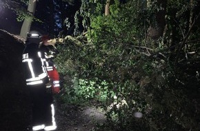 Feuerwehr Wetter (Ruhr): FW-EN: Wetter - Brandmeldealarm und Gefahrenbaum am Abend sowie eine Ölspur am Morgen