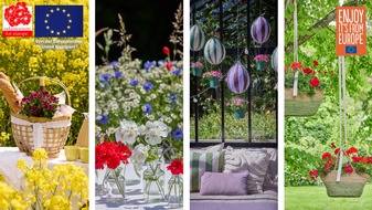 Pelargonium for Europe: Die neue Pressemappe von Pelargonium for Europe ist da! Entdecken Sie die Bildmotive 2026