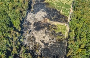 Feuerwehren im Kreis Soest: FW Kreis Soest: Waldbrand am M&ouml;hnesee - Anhaltende L&ouml;schma&szlig;nahmen zeigen Wirkung
