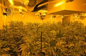 Kreispolizeibeh&ouml;rde Hochsauerlandkreis: POL-HSK: Cannabis-Plantage bei Durchsuchung in Winterberg-Langewiese festgestellt