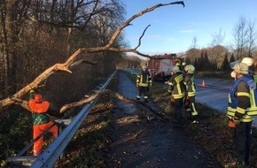 Feuerwehr Schermbeck: FW-Schermbeck: Ast drohte auf Radweg zu stürzen