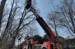 Freiwillige Feuerwehr Sankt Augustin: FW Sankt Augustin: Es gibt die Einsätze wirklich: Feuerwehr rettet Katze aus Baum
