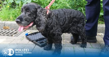 Polizei Duisburg: POL-DU: Dellviertel: Hund aus dem Auto gerettet