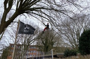 Industrie Kletterer Hamburg: Die Baumvitalit&auml;t und Verkehrssicherheit auf dem Pr&uuml;fstand