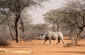 ZDF: Zwei ZDF-Dokus der "Terra-X-Abenteuer"-Reihe entführen nach Namibia und Vietnam